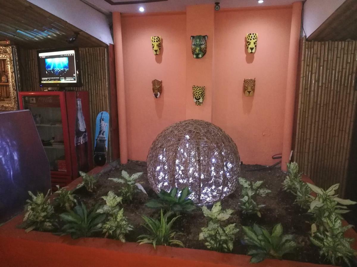 Best Hostel San Jose Εξωτερικό φωτογραφία